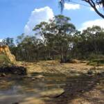 Fossicking at Stuart Town,Central NSW